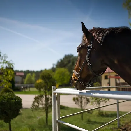 Kawallo Slubice (Masovia)